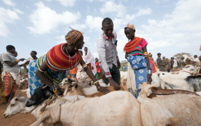 Climate-Proofing Poverty Graduation Programs