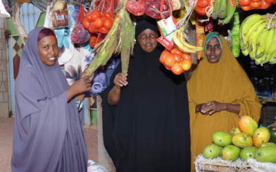 Designing and Delivering Government-Led Graduation Programs for People in Extreme Poverty