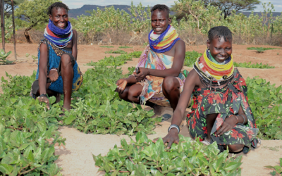Learning Brief: Pathways for Improved Nutrition Outcomes for the Ultra-Poor