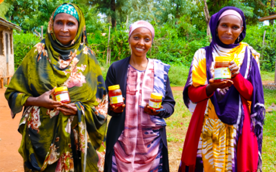 The Climate-Displacement Nexus: Understanding Compound Crises