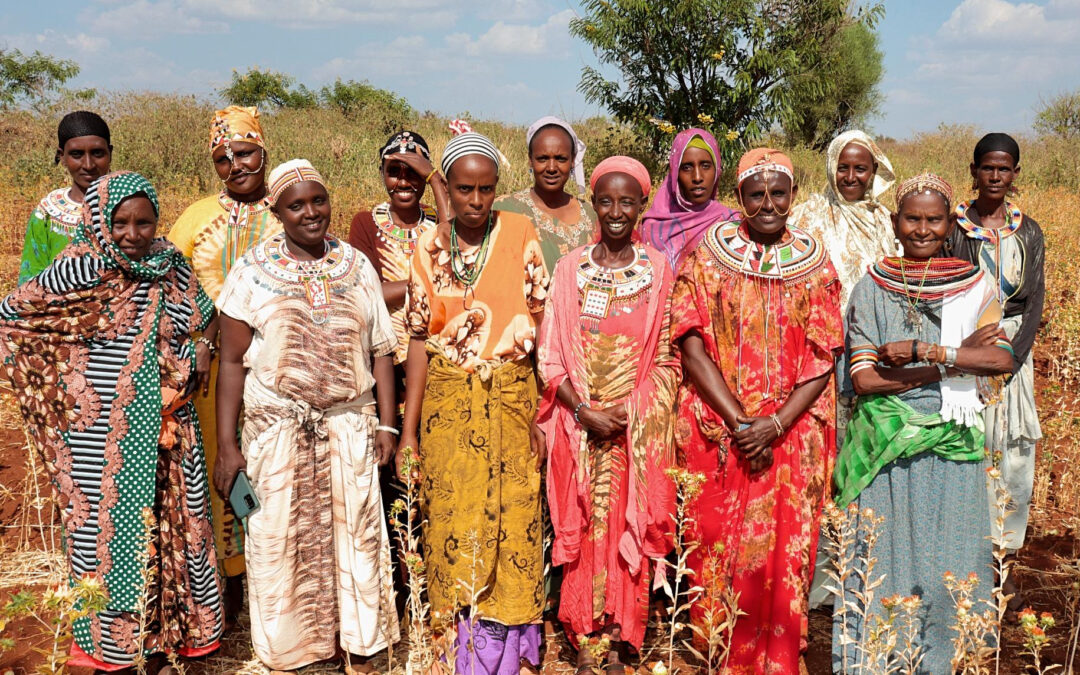 How Isgargato Savings Group is Cultivating Prosperity with Sunflower Farming 